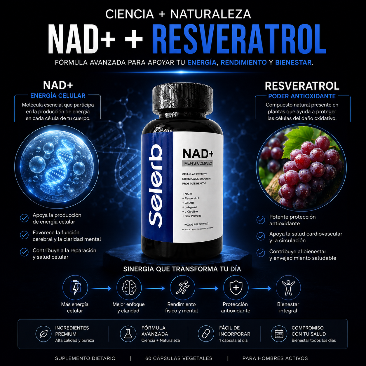 NovaCell™ | Energía • Enfoque • Vitalidad