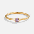 Febrero · Morado